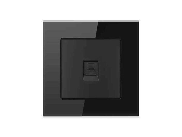1-Gang Data Module