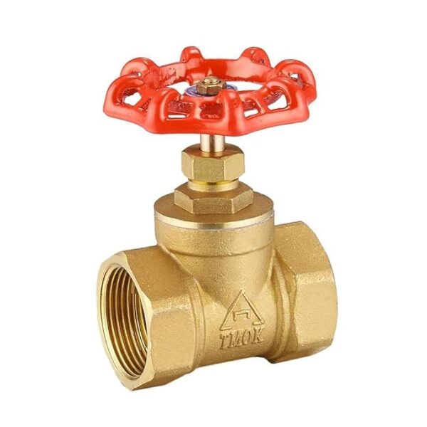 40mm Gate Valve (Class 10)